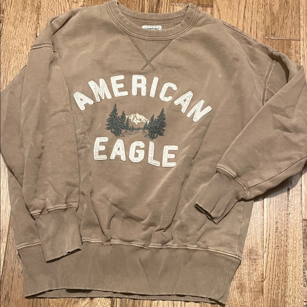 American Eagle Outfitters Brown Crewneck Sweater